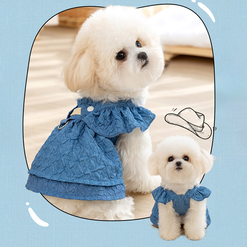 2025 Hoopreety Puppy Dog Cloth – Summer Clothing List recenzja i cena